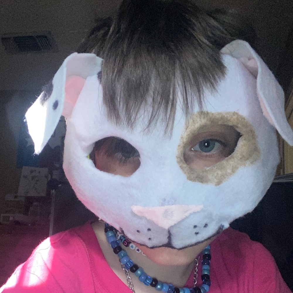 Playful Dog Face Mask